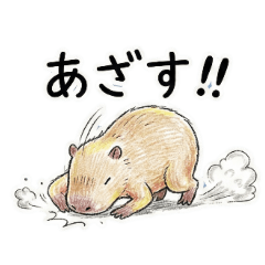 HONSON_20251230023451