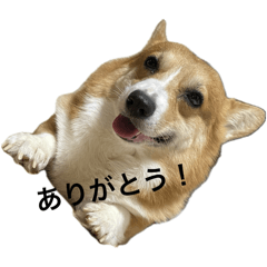 You_20251229183748