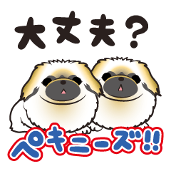 ペキニーズ!! 気遣いスタンプ