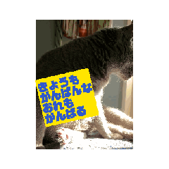 nonnon keep going_20251229182144