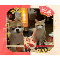 chico_20251229185110