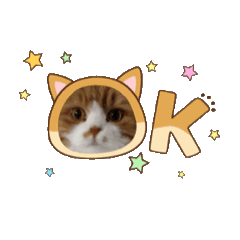 Kakesoba_20251229185421