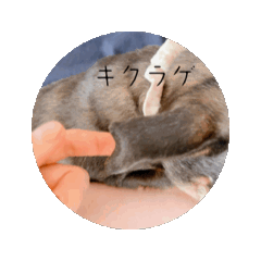 Tel me_20251229190618