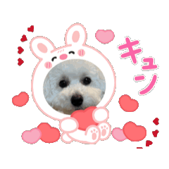 alice_20251229191556