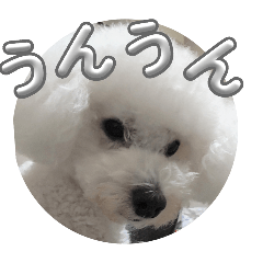 yoshie_20251229151731