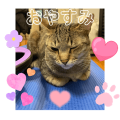 Suzu ran_20251229153007