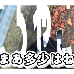 amehuri shop_20251229153225