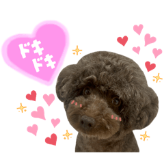 hi_ka_20251229153054