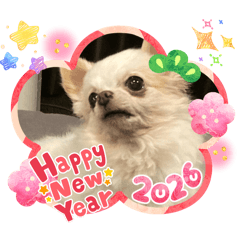 MICHI MOCHI MOCHI_20251229190805