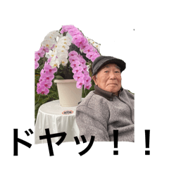 kanmami_20251229191419