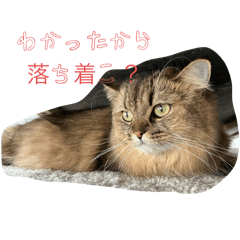 reina_20251229191511