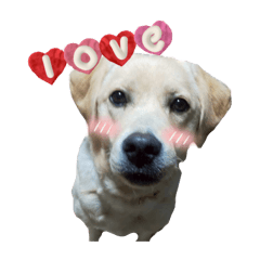 anchan0402_20251229191907