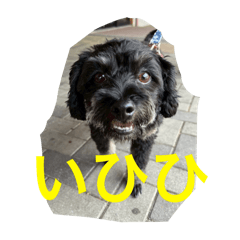 futomomoshinshi_20251229192102