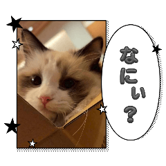 chibi_20251229185926