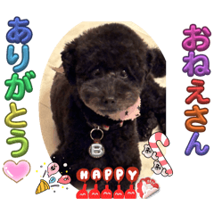 お姉さん大好きボン