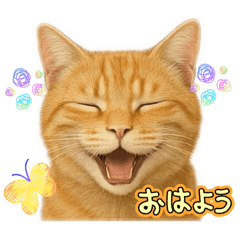 Harumatsu_20251229191836