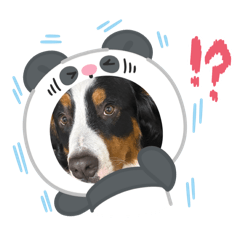 Baromana_20251229192229