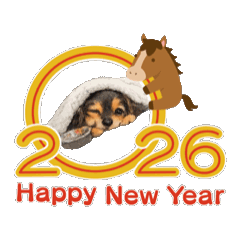 r3rieshop_20251229202411