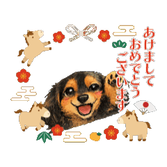 r3rieshop_20251229202652