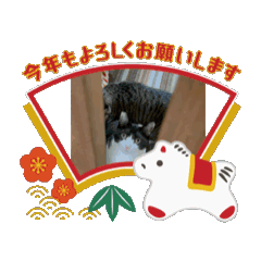 eitonyan_20251229203517