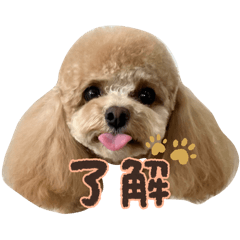 COCO stamp_20251229212201