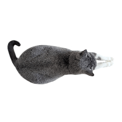 Picorin_20251229211742