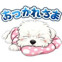 Ayushi_20251229213232