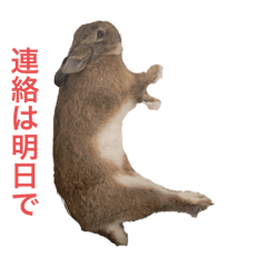 ON_20251229185151