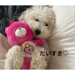 Alice_20251229185539