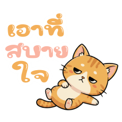 Cat: Do whatever makes you happy.