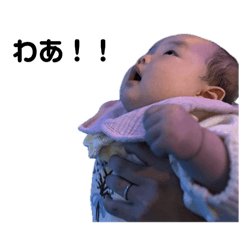 mameta_20251229200133