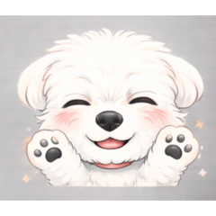 Ayushi_20251229205559