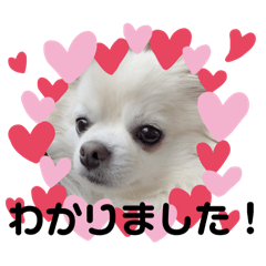 yukachi_20251229230243