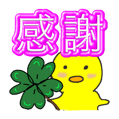 hachi_20251229203136