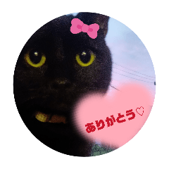 hikari_20251229202539