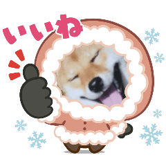 rimi4296_20251229221013