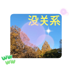 秋の彩り。紅葉に包まれる癒やしの毎日