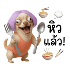 ชิวาว่าสายแฟชั่นตัวตึง