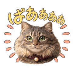 karin_20251229165901