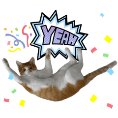 satsuki_20251229173844