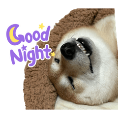 yumiko_20251229195305