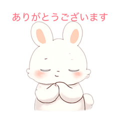 Sweet Bunny-Messages