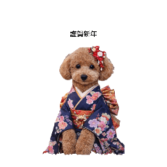 ringo_20251229231022