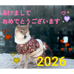 rimi4296_20251229231522