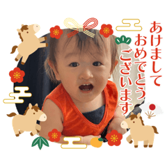 N family_20251229231627