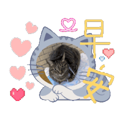 世界上最可愛的生活貼圖