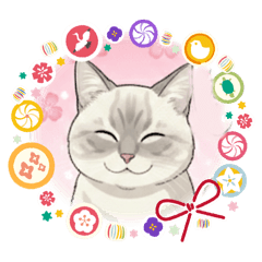 cieruna_20251229193008