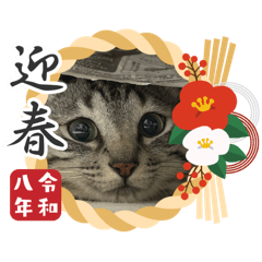yuka_20251229193845
