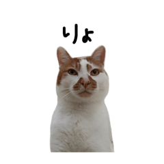 arisa_20251229193942