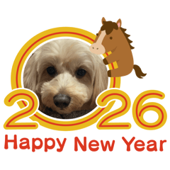 joie_20251229215457